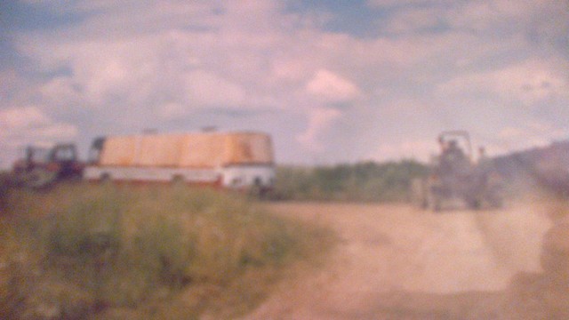 mf_429592269_b319444541afac1b2d259cf8d9aae0aa