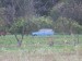 DSCF7188.JPG